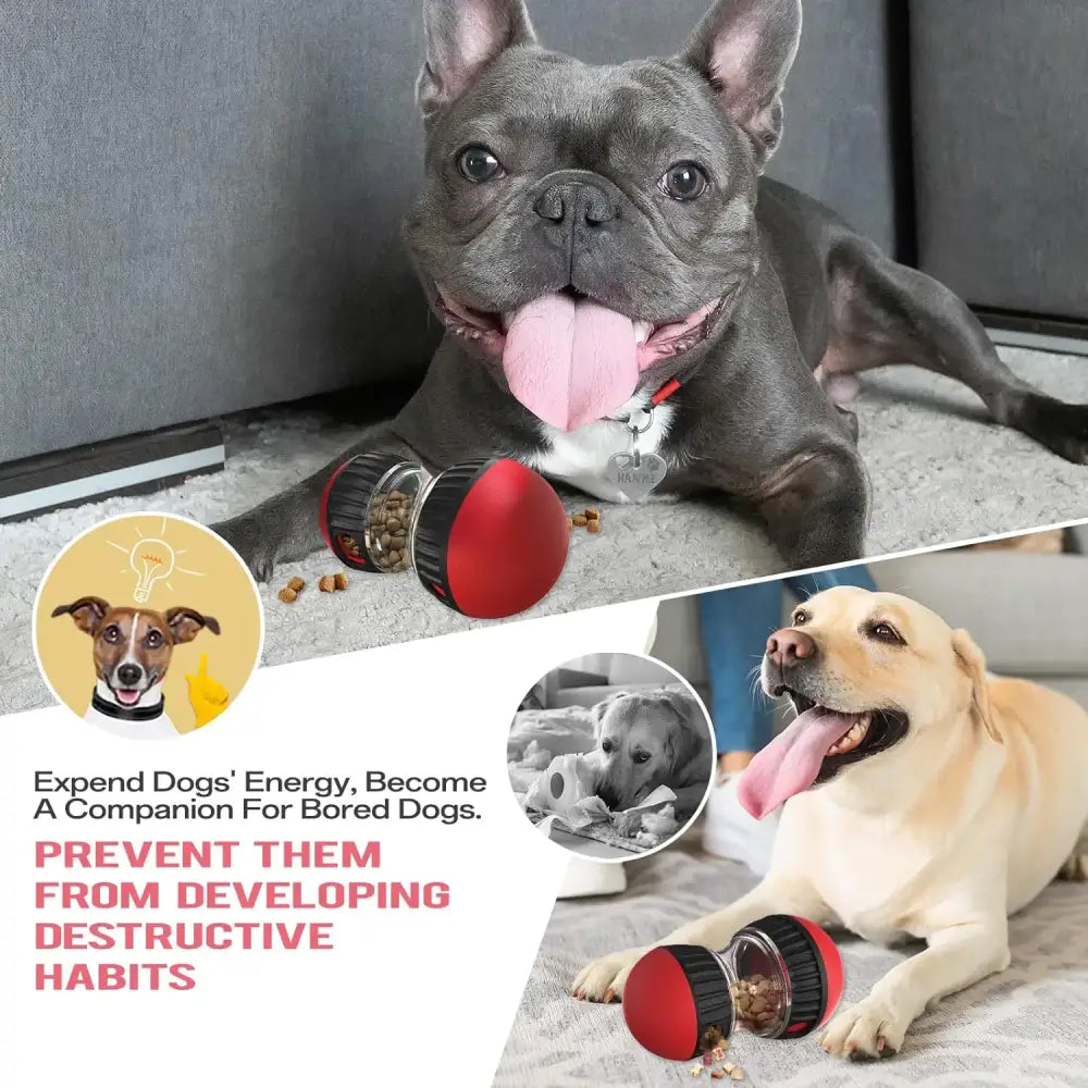 https://playfulcreations.store › products › dog-puzzle-toy-ball