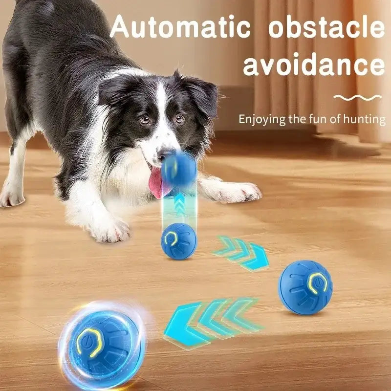 https://playfulcreations.store › products › smart-dog-toy-ball