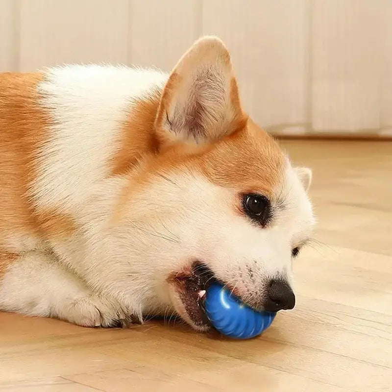 https://playfulcreations.store › products › smart-dog-toy-ball