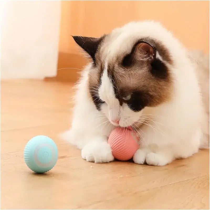 https://playfulcreations.store › products › smart-dog-toy-ball