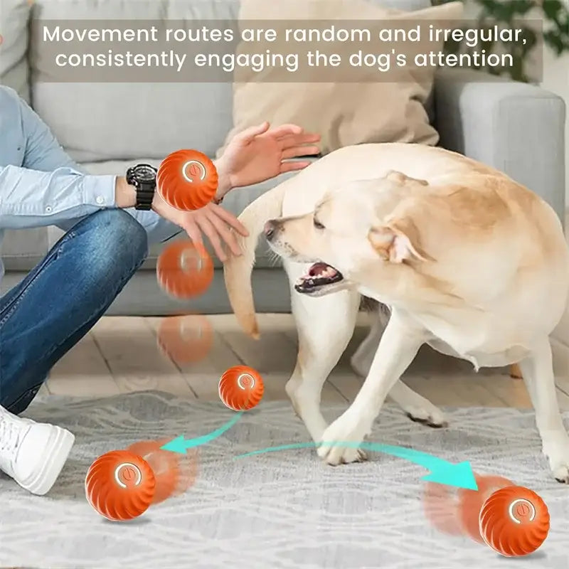 https://playfulcreations.store › products › smart-dog-toy-ball