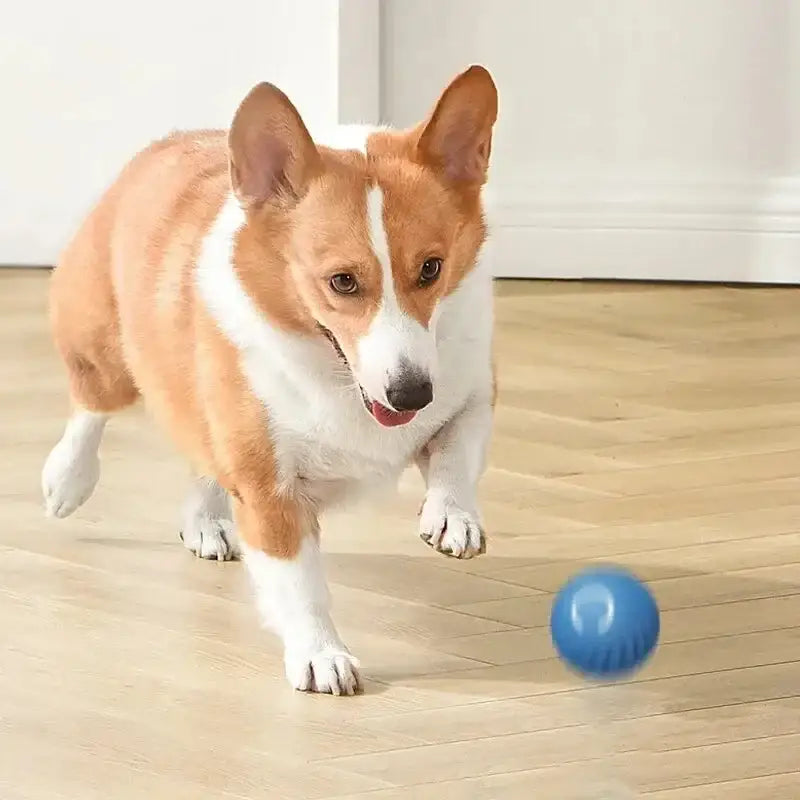 https://playfulcreations.store › products › smart-dog-toy-ball