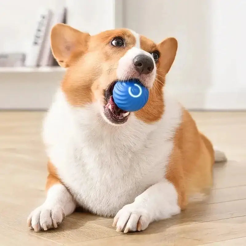 https://playfulcreations.store › products › smart-dog-toy-ball