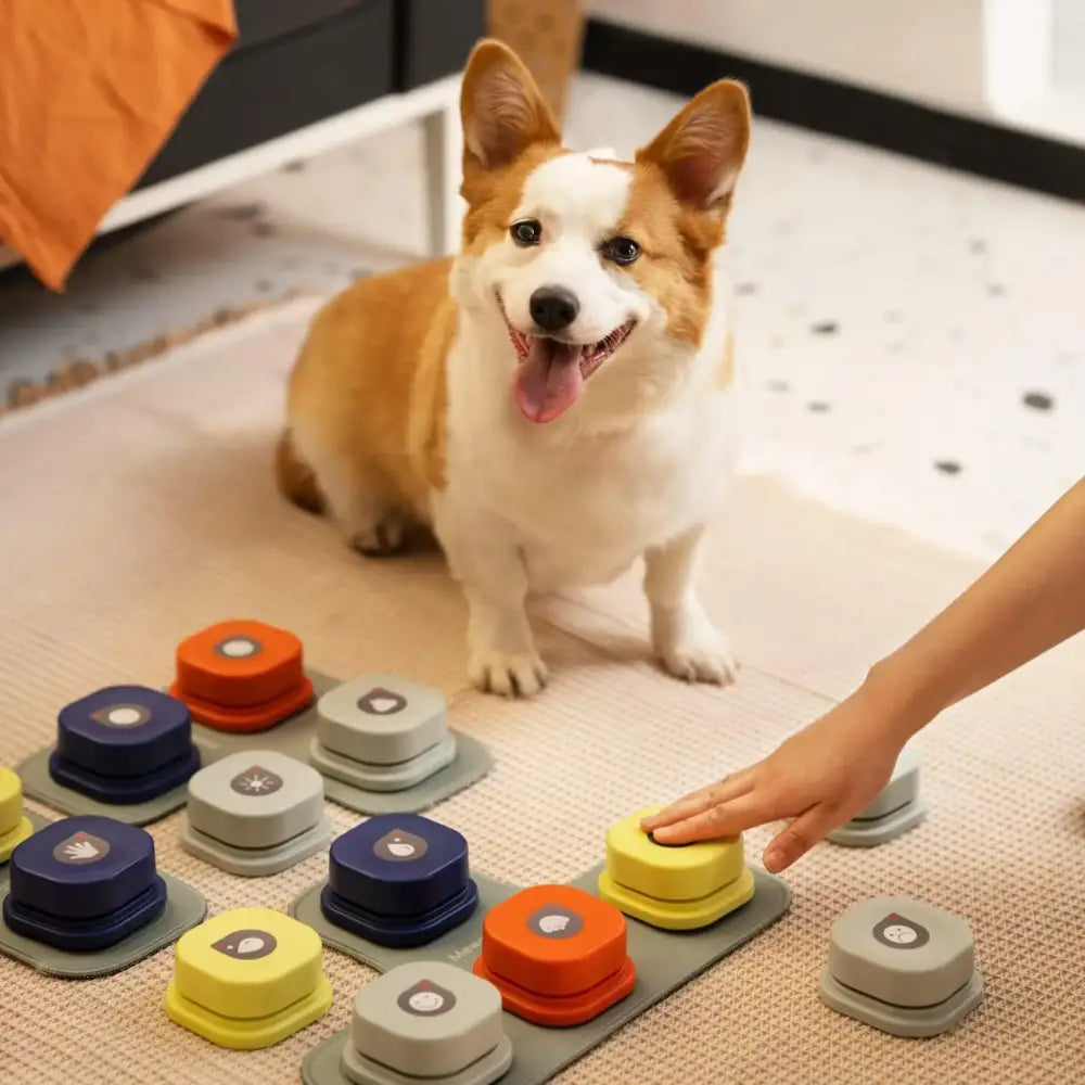 https://playfulcreations.store › products › talking-button-for-dogs-set