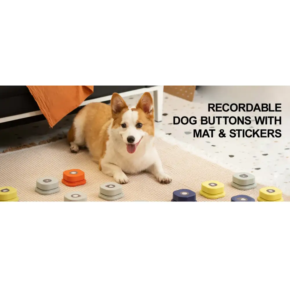 https://playfulcreations.store › products › talking-button-for-dogs-set